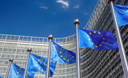 eu building